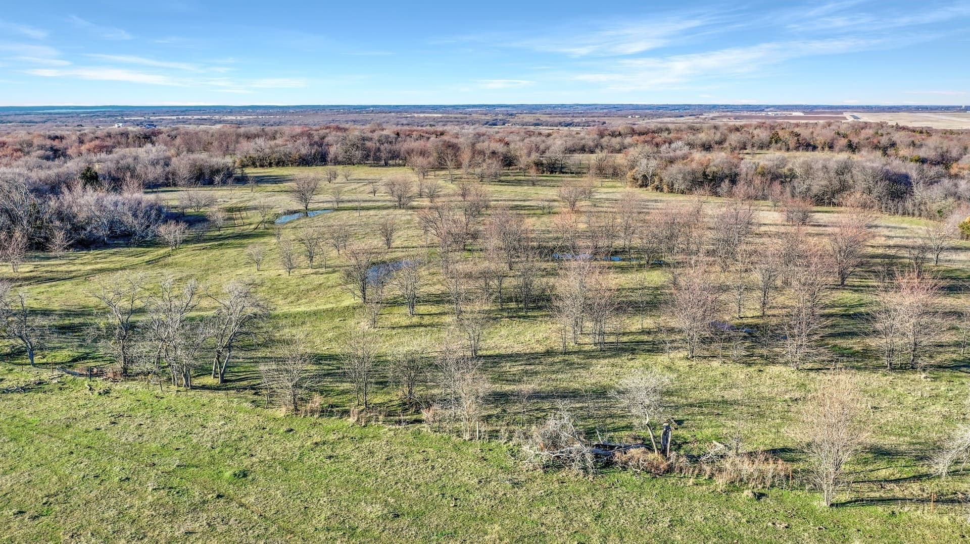 87.26 acres in Grayson County - photo 20