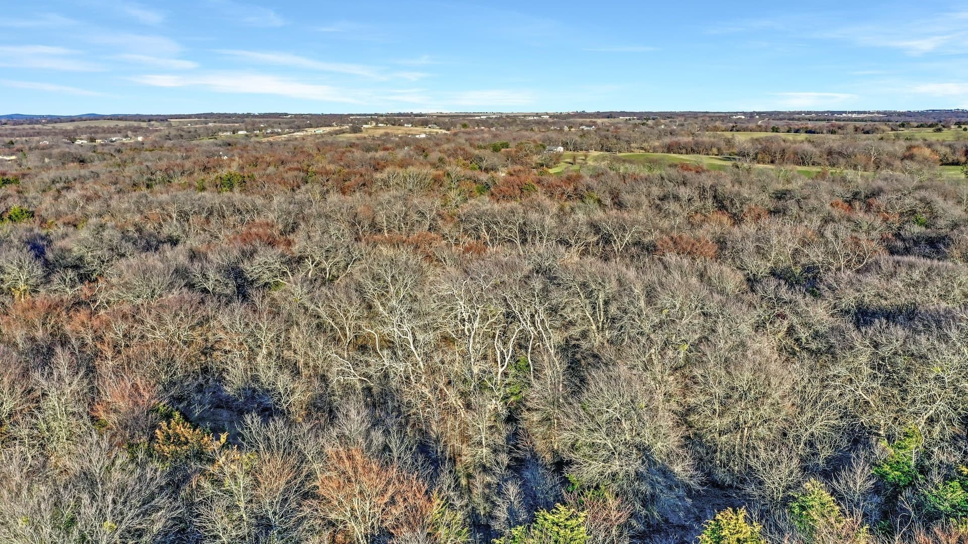 87.26 acres in Grayson County - photo 10