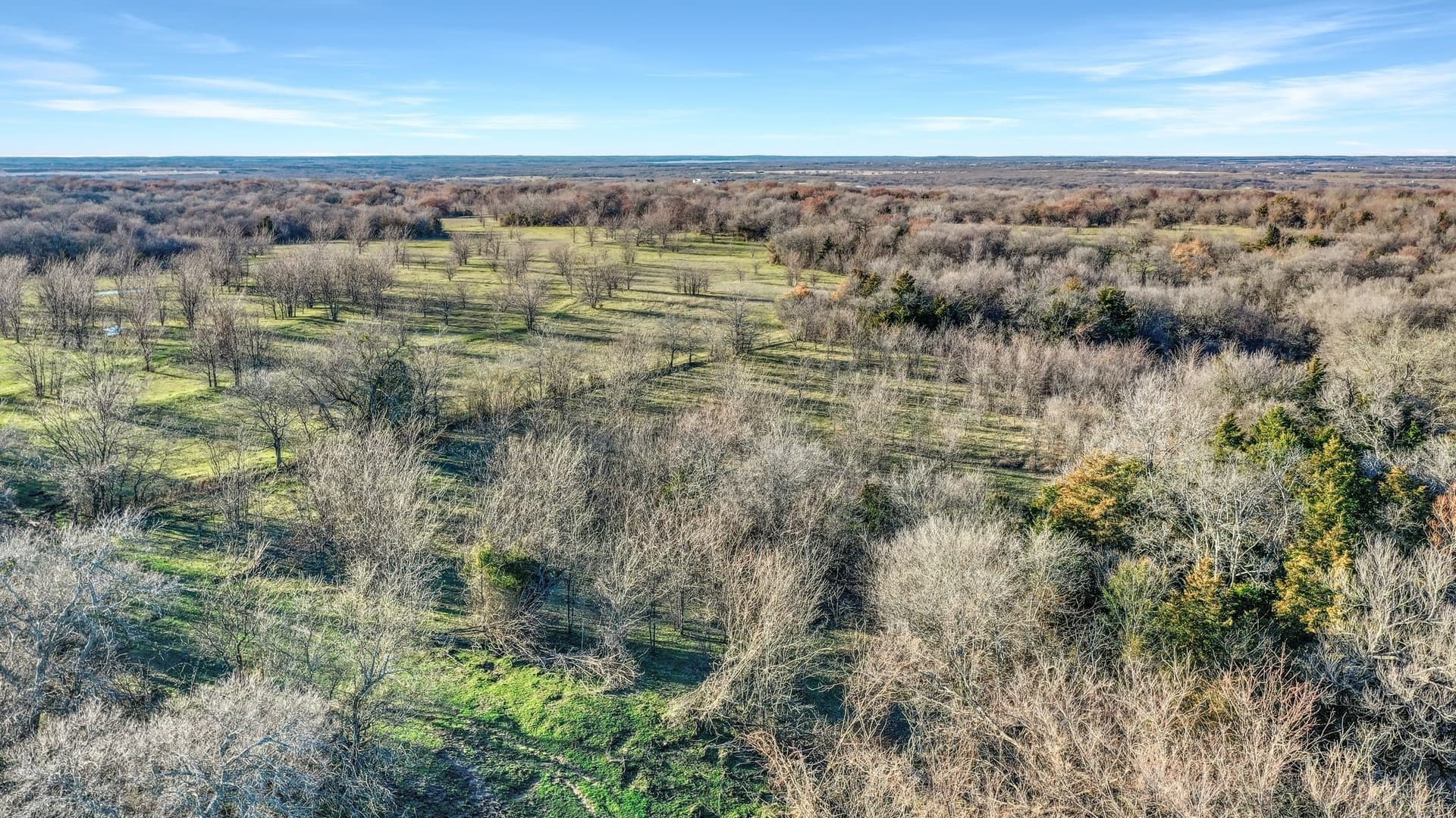 87.26 acres in Grayson County - photo 19