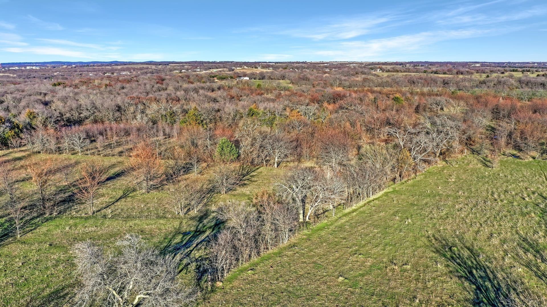 87.26 acres in Grayson County - photo 17