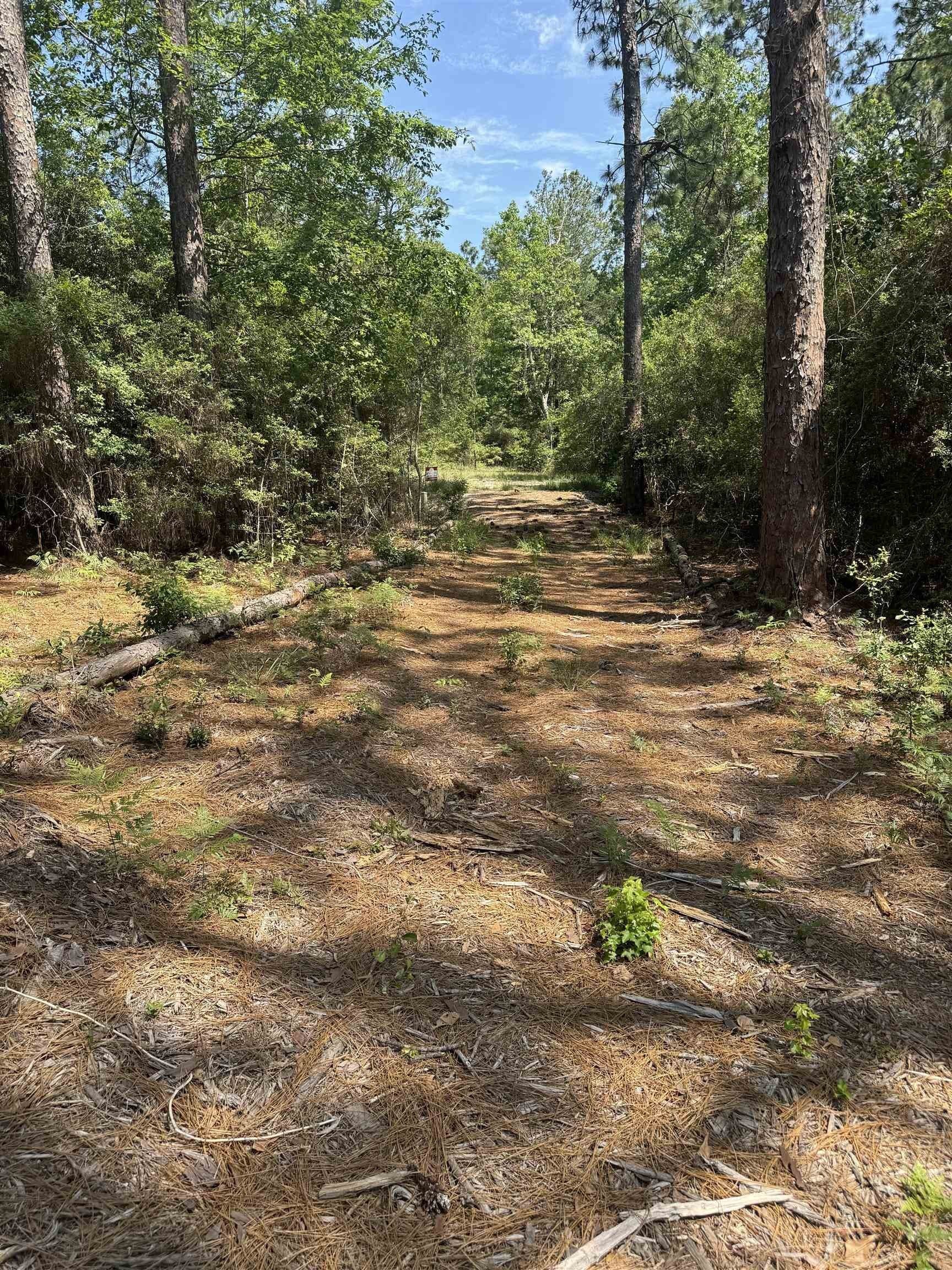 0.2 acres in Texas County - photo 15