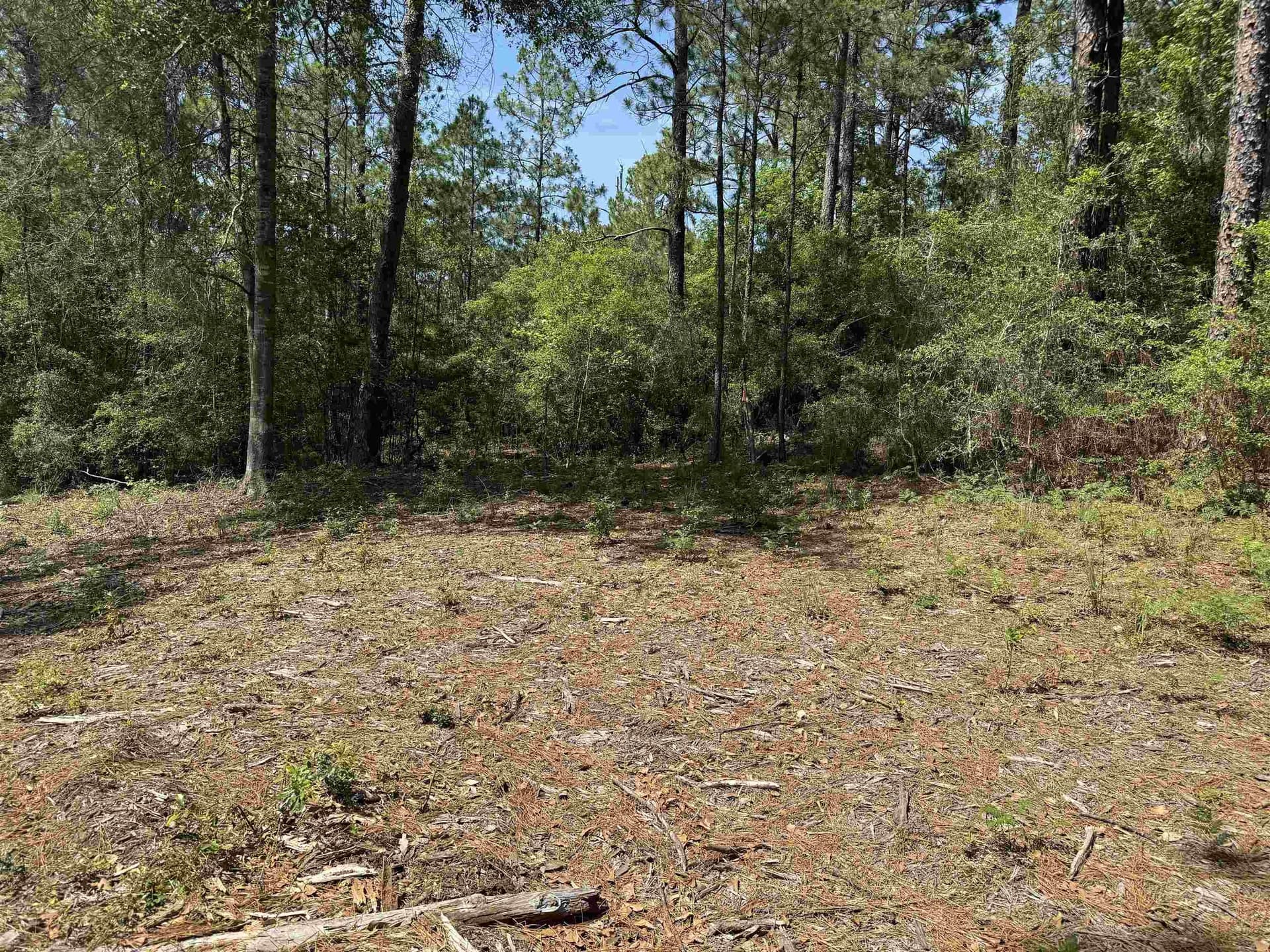 0.2 acres in Texas County - photo 14