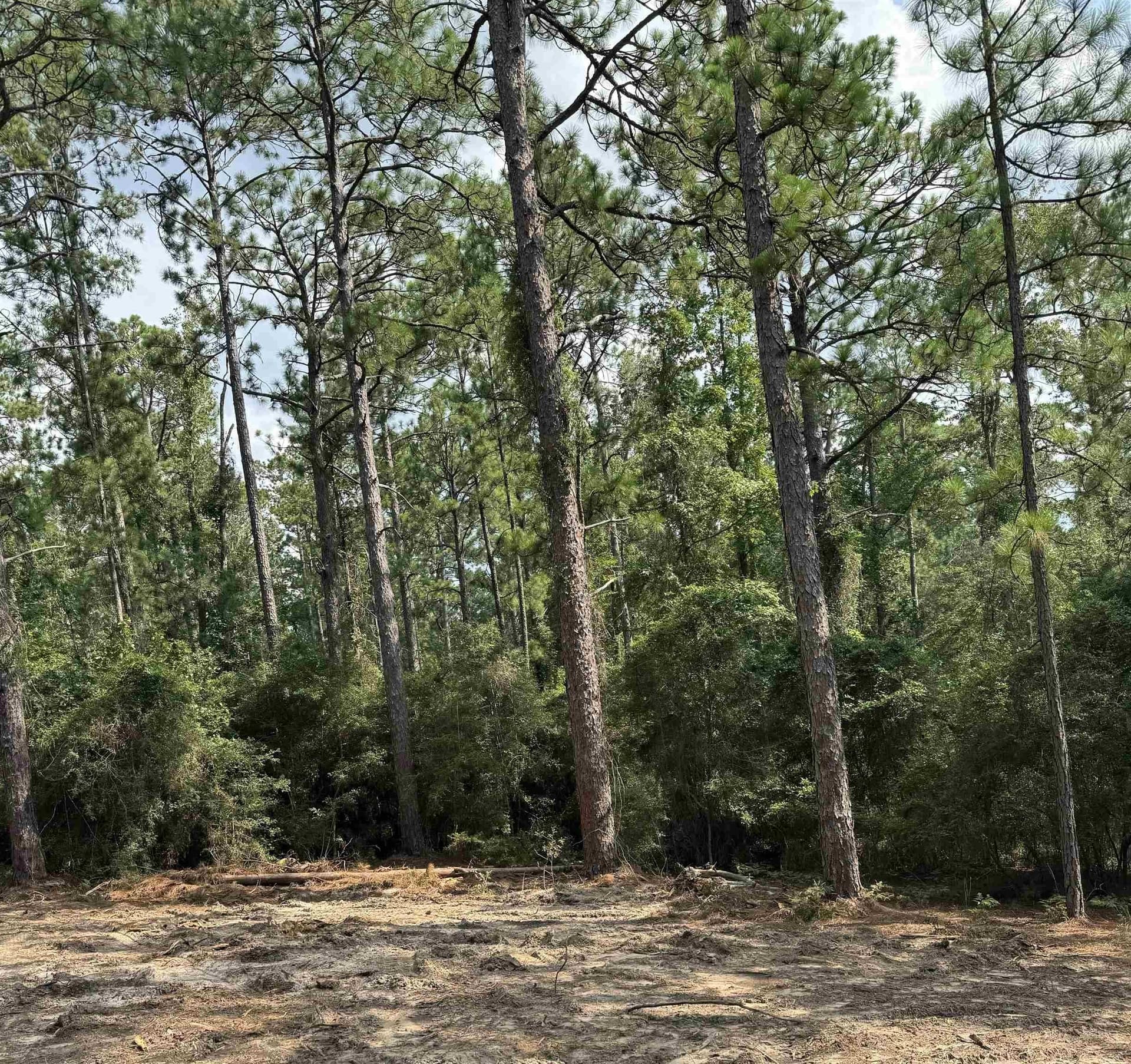 0.2 acres in Texas County - photo 11