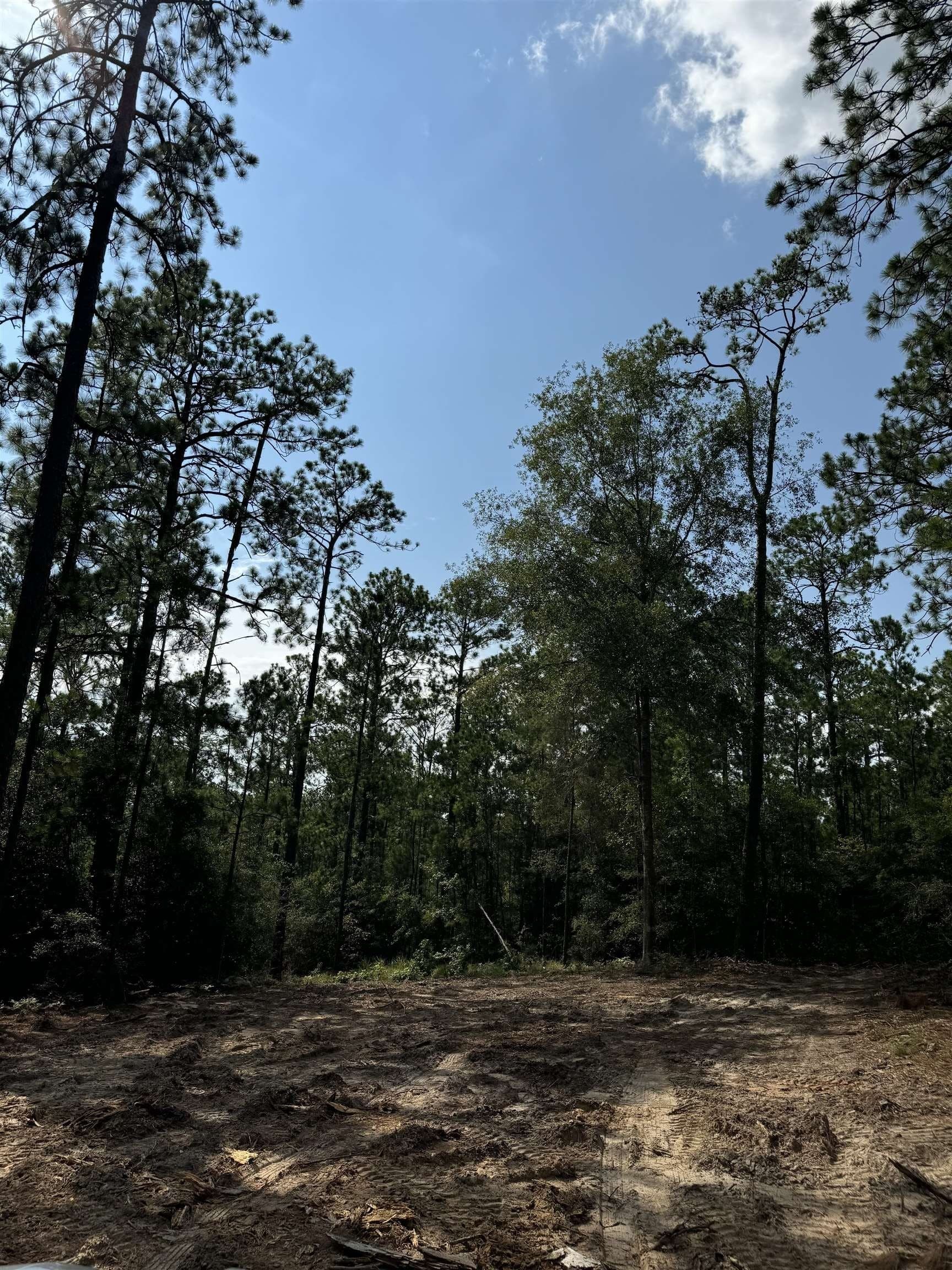 0.2 acres in Texas County - photo 7