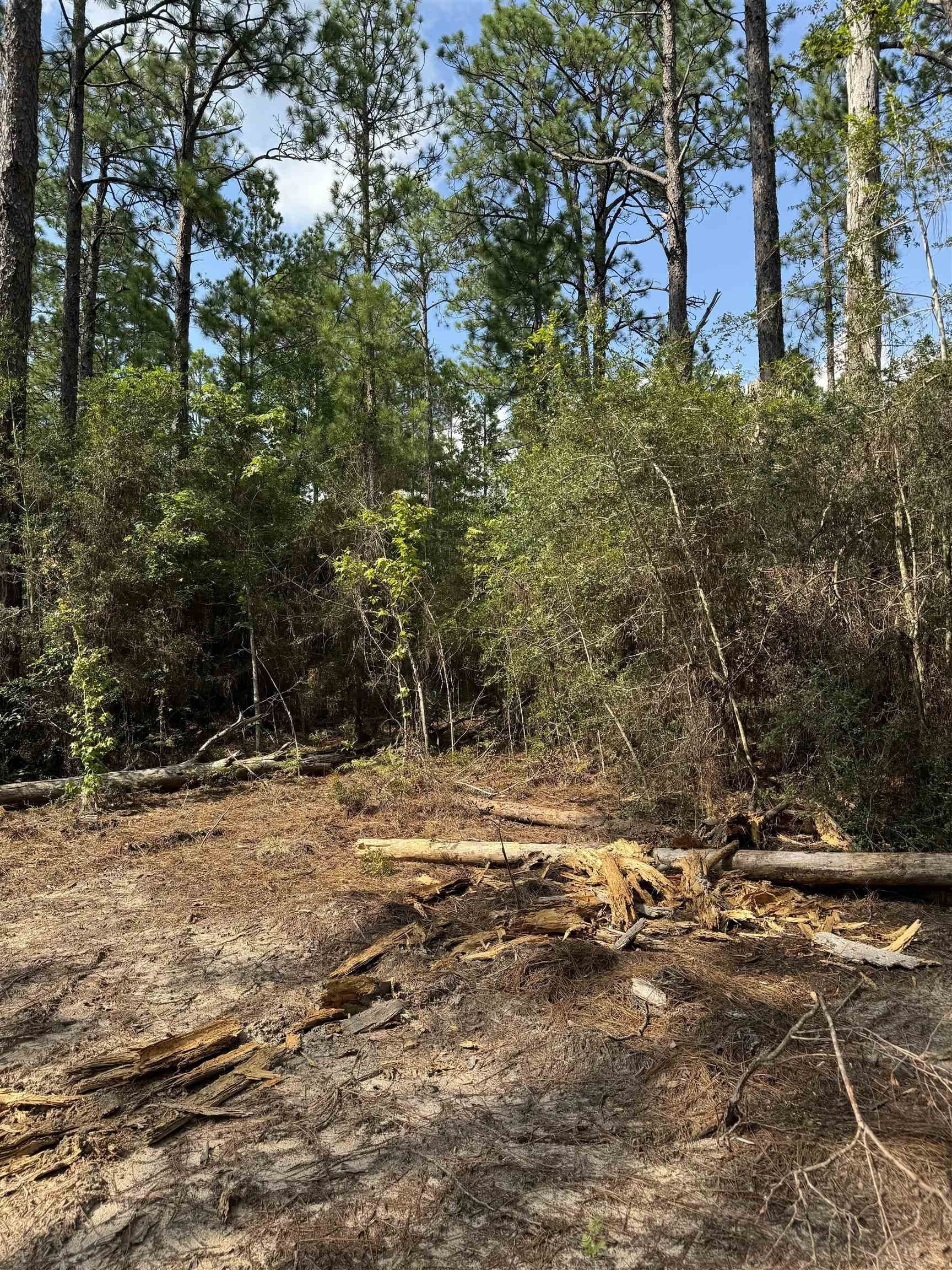 0.2 acres in Texas County - photo 9