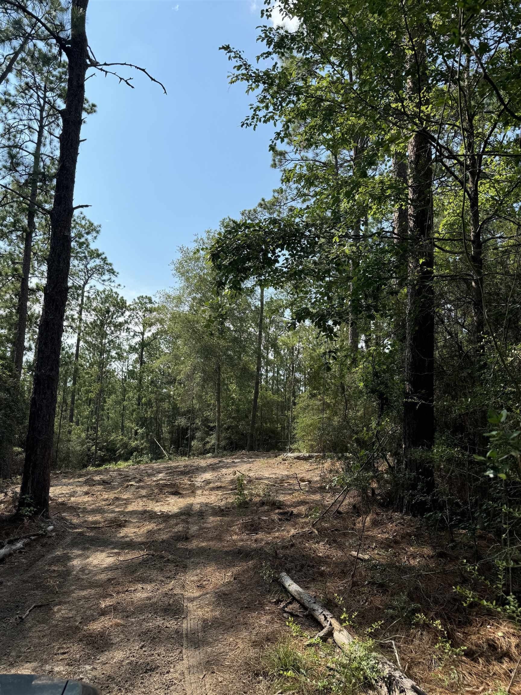 0.2 acres in Texas County - photo 6