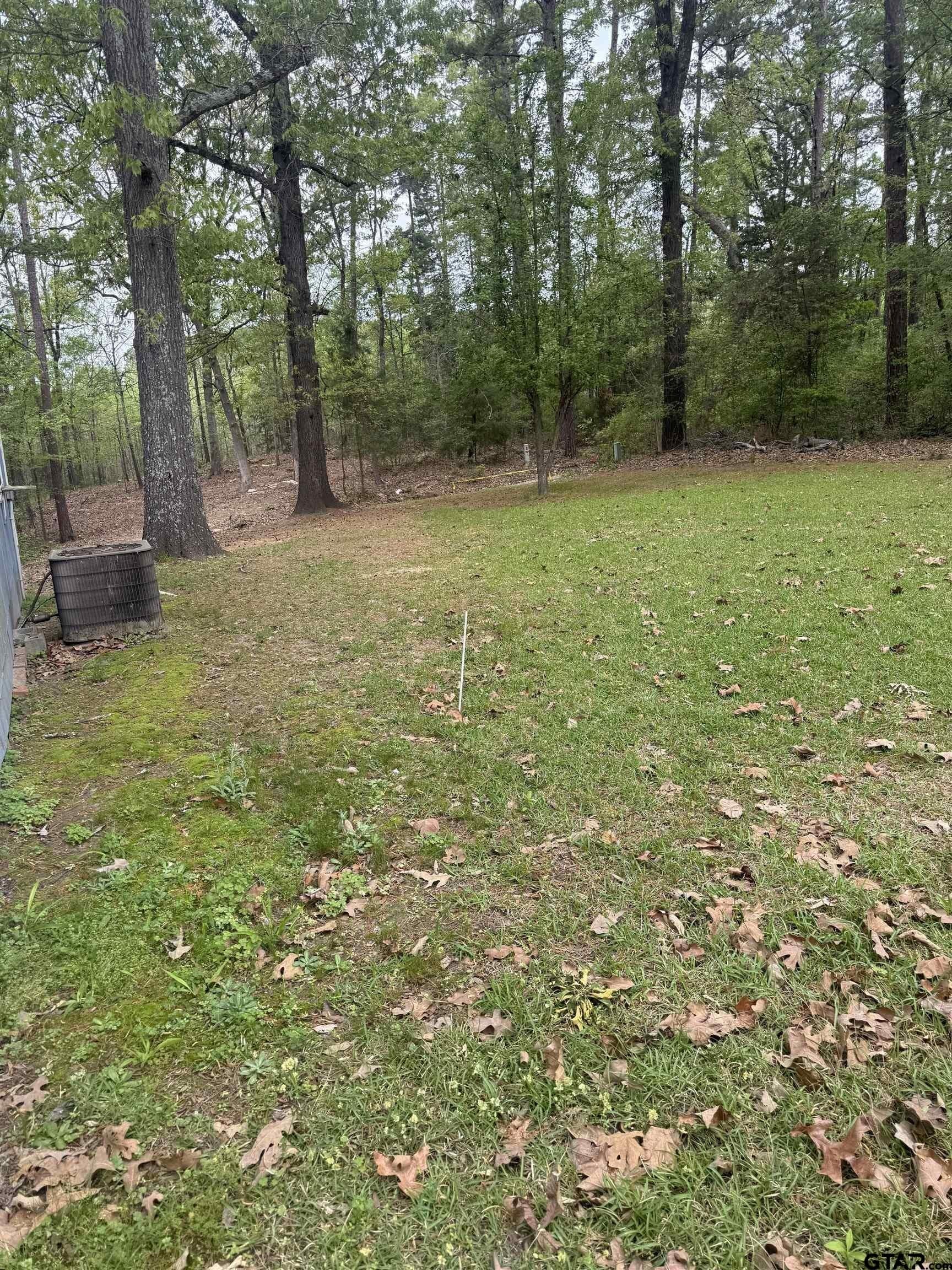 90 acres in Wood County gallery image 4