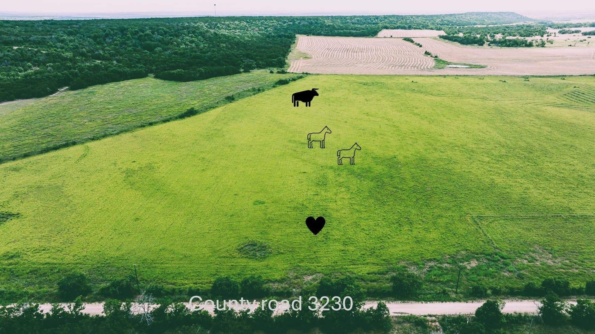 15.01 acres in Hamilton County - photo 2