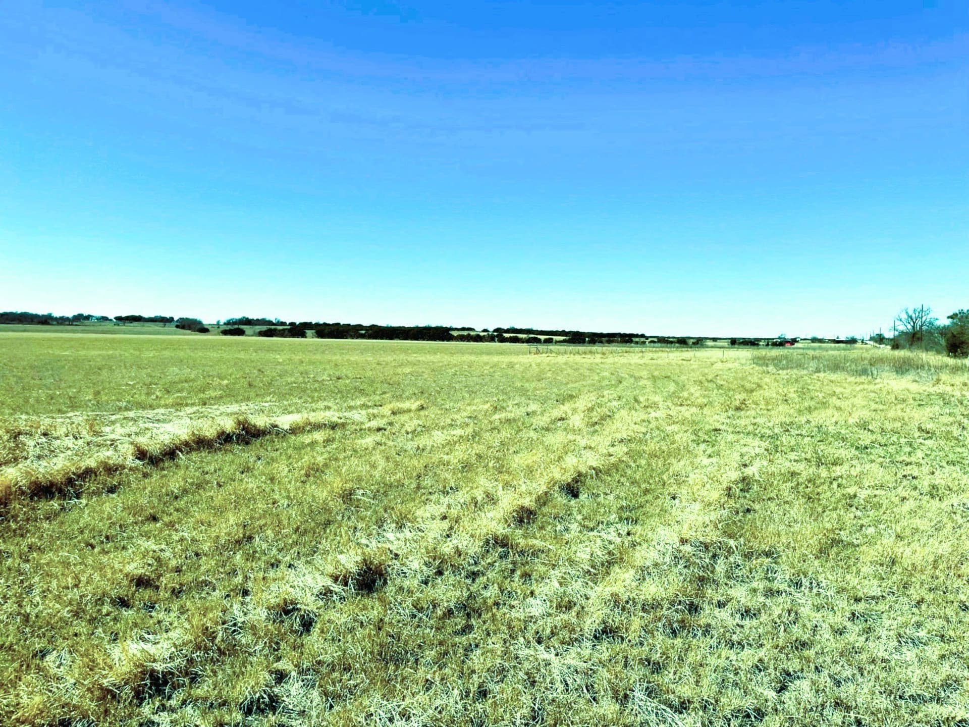 15.01 acres in Hamilton County - photo 5