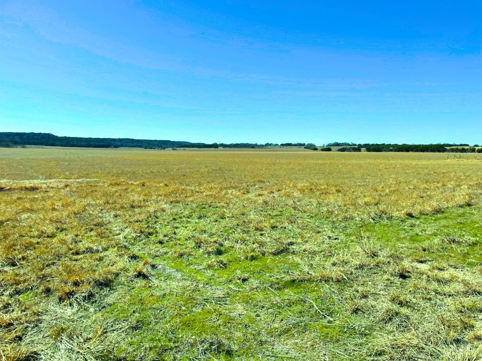 15.01 acres in Hamilton County - photo 4