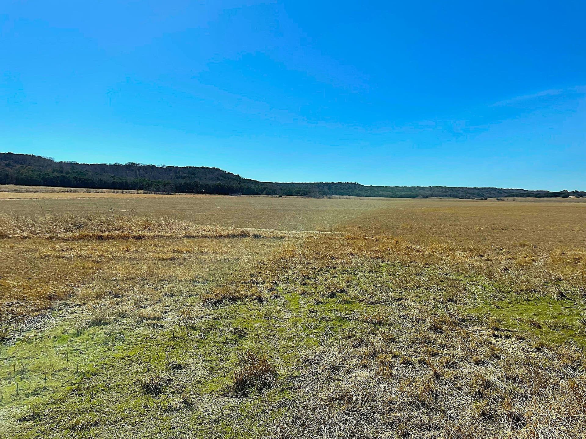 15.01 acres in Hamilton County - photo 6