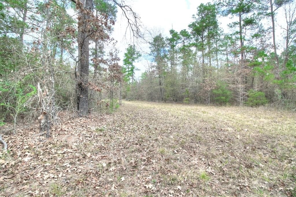 5 acres in Texas County featured view