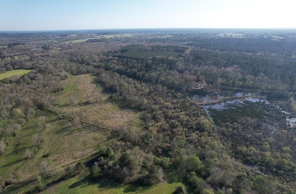 89 acres in San Augustine County featured view