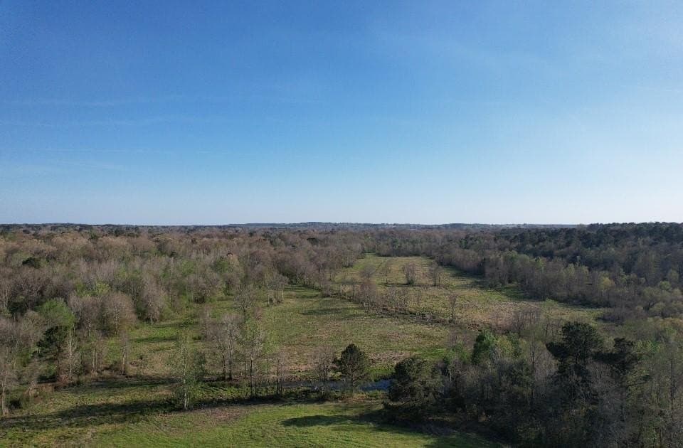 89 acres in San Augustine County gallery image 4