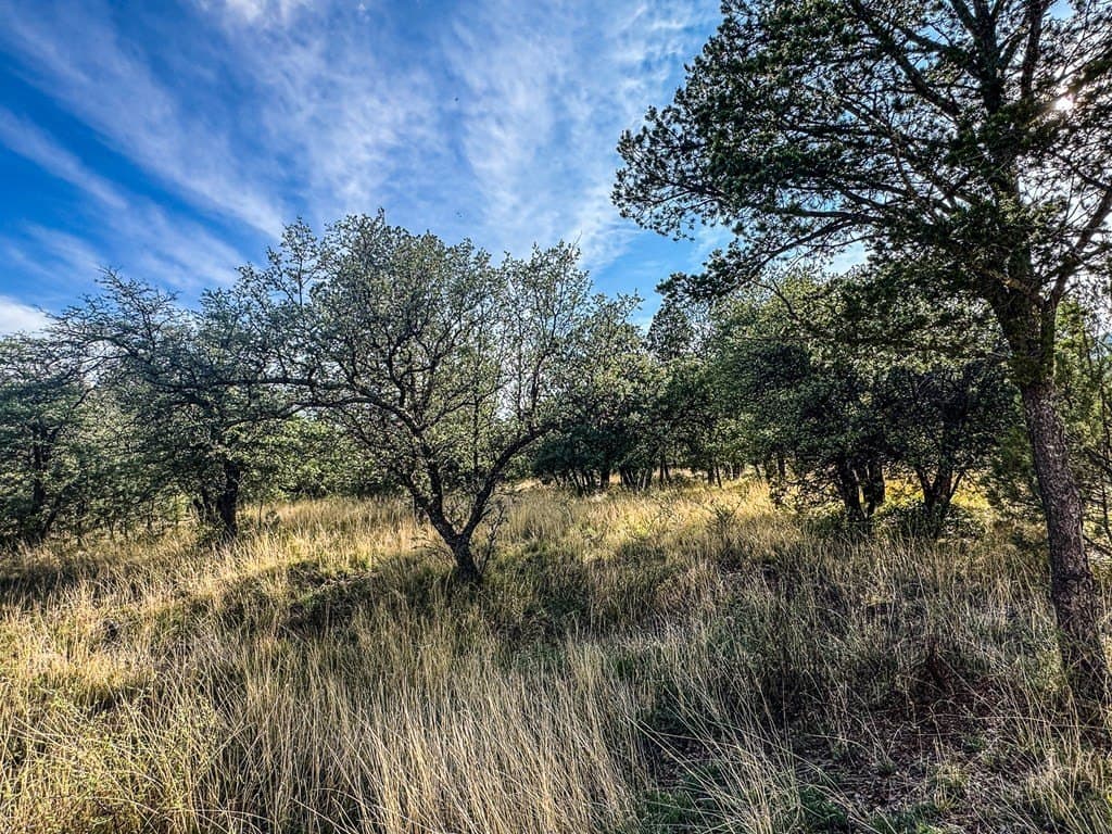 20.26 acres in Jeff Davis County - photo 27