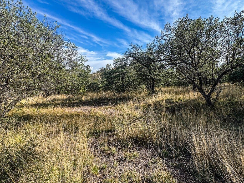 20.26 acres in Jeff Davis County - photo 23