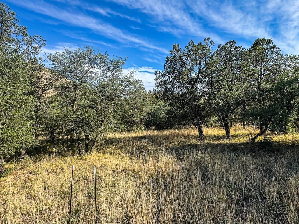 20.26 acres in Jeff Davis County - photo 16
