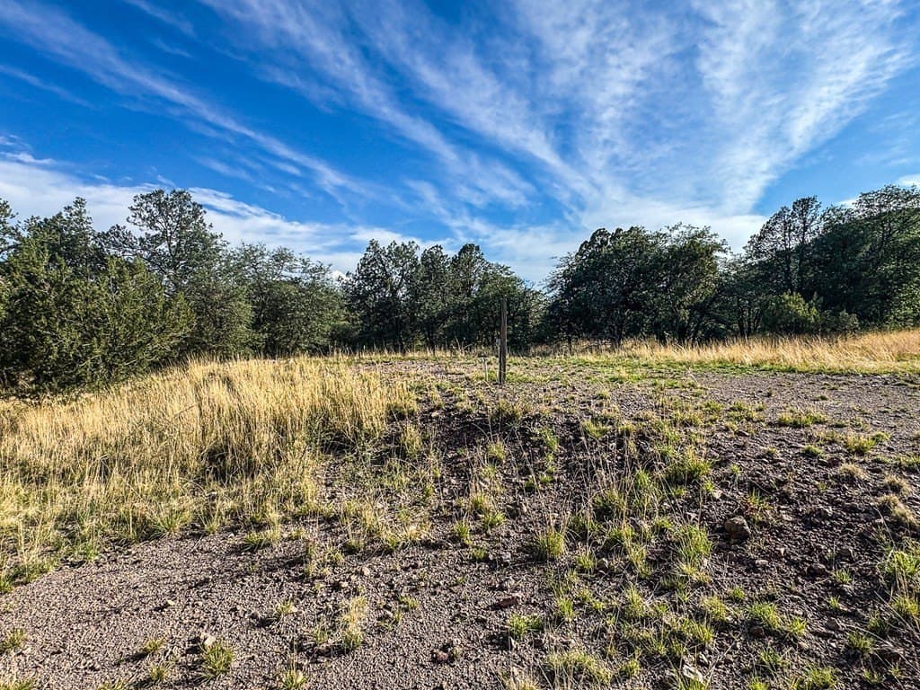 20.26 acres in Jeff Davis County - photo 30