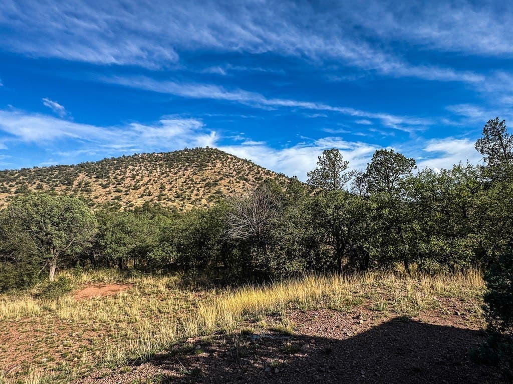 20.26 acres in Jeff Davis County - photo 22