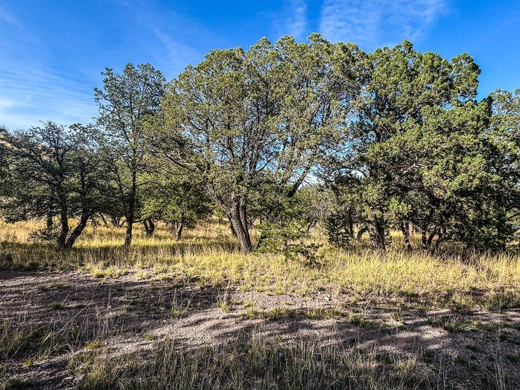 20.26 acres in Jeff Davis County - photo 19