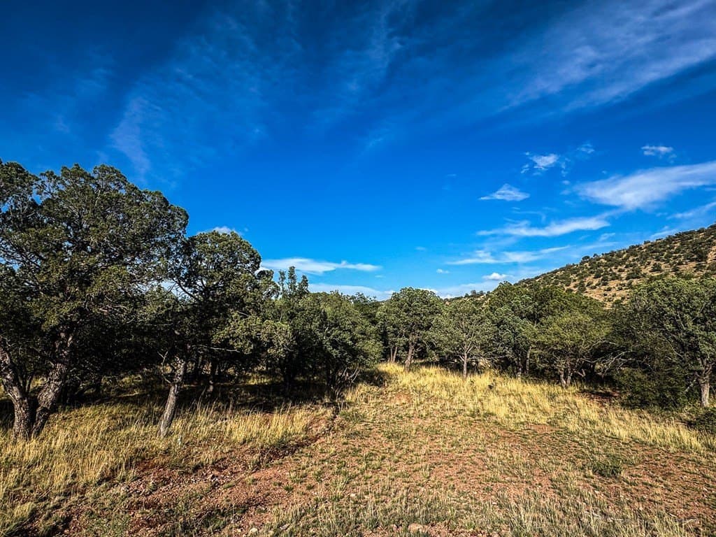 20.26 acres in Jeff Davis County - photo 21