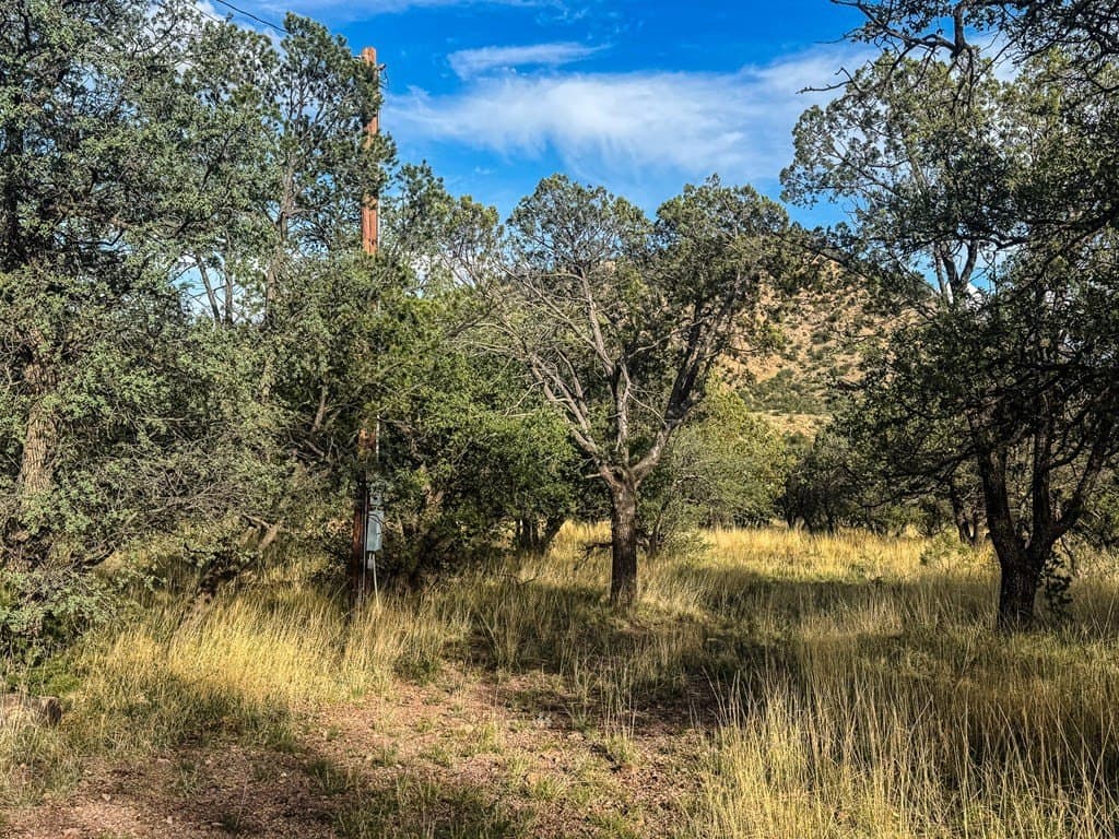 20.26 acres in Jeff Davis County - photo 24