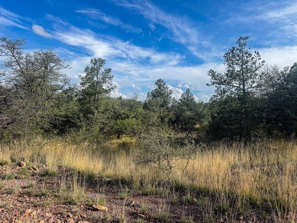 20.26 acres in Jeff Davis County - photo 26