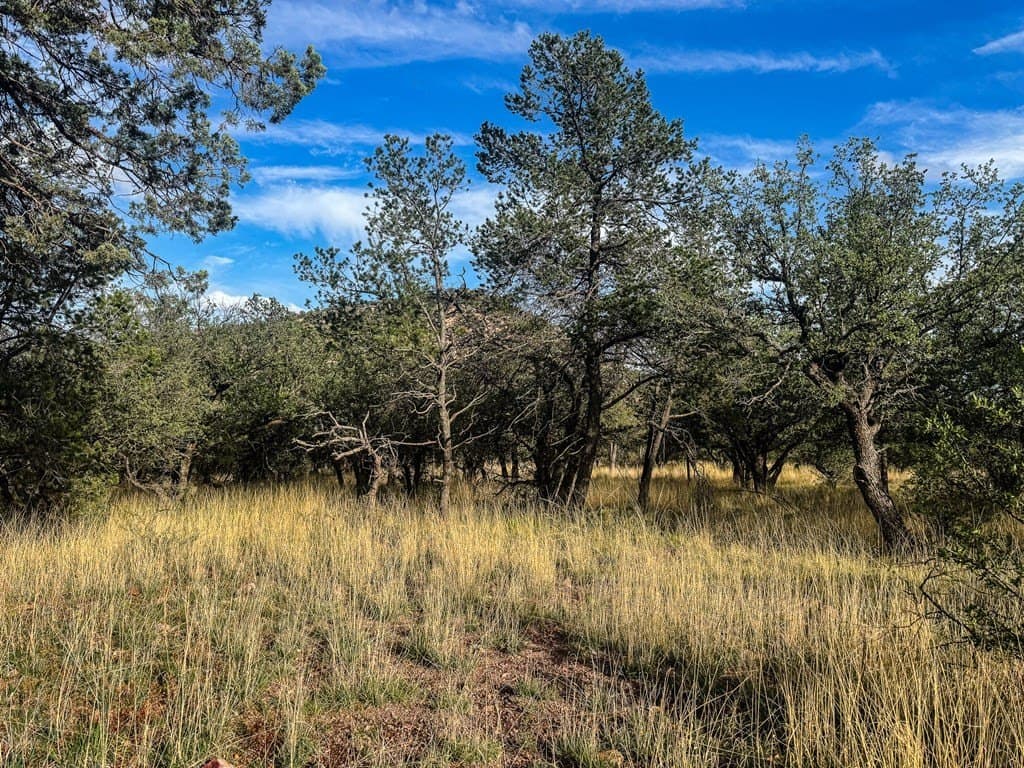 20.26 acres in Jeff Davis County - photo 25