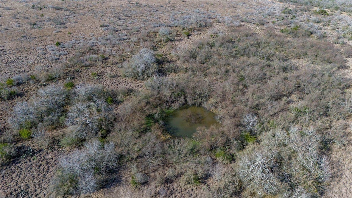 51.6 acres in Live Oak County - photo 15