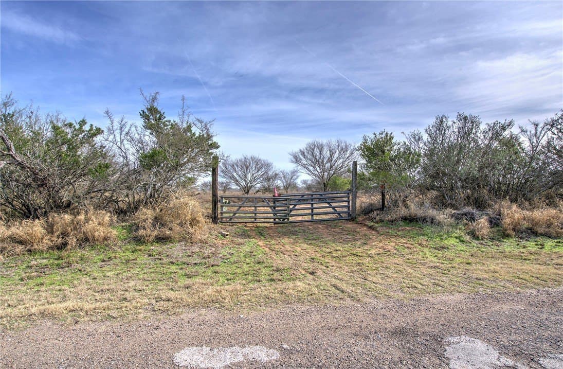 51.6 acres in Live Oak County - photo 5
