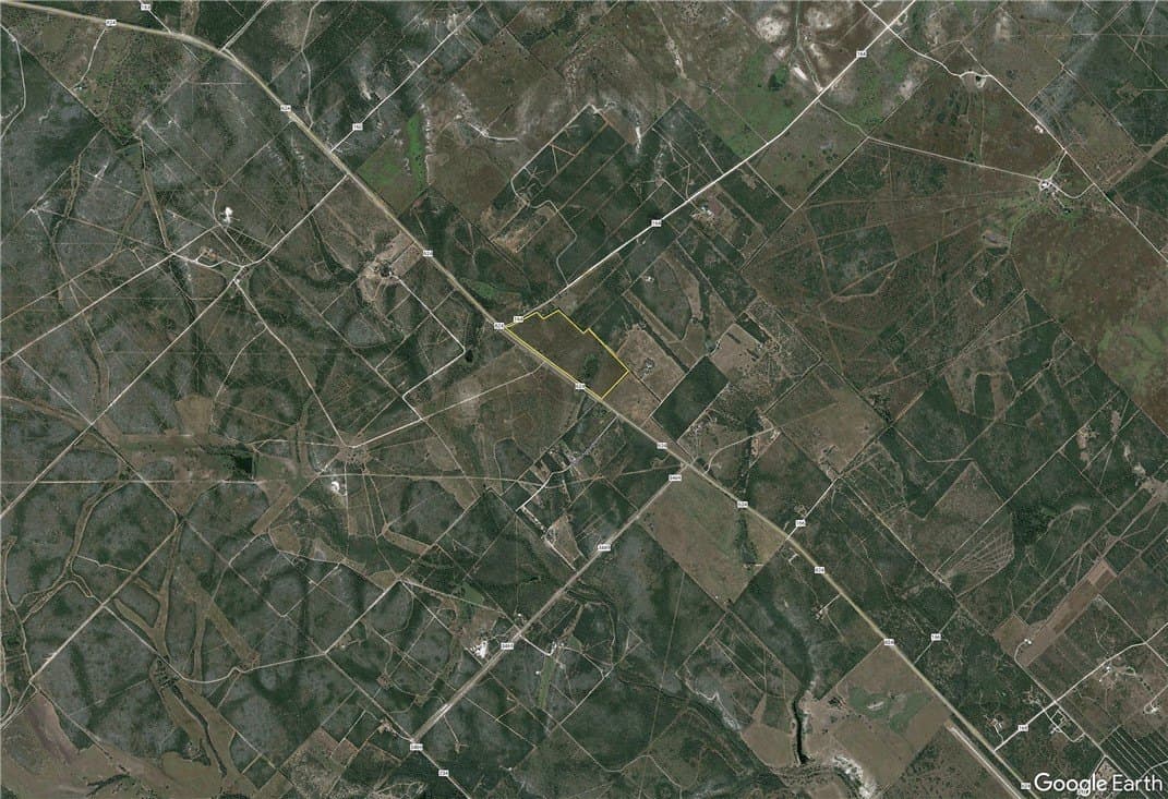 51.6 acres in Live Oak County - photo 4