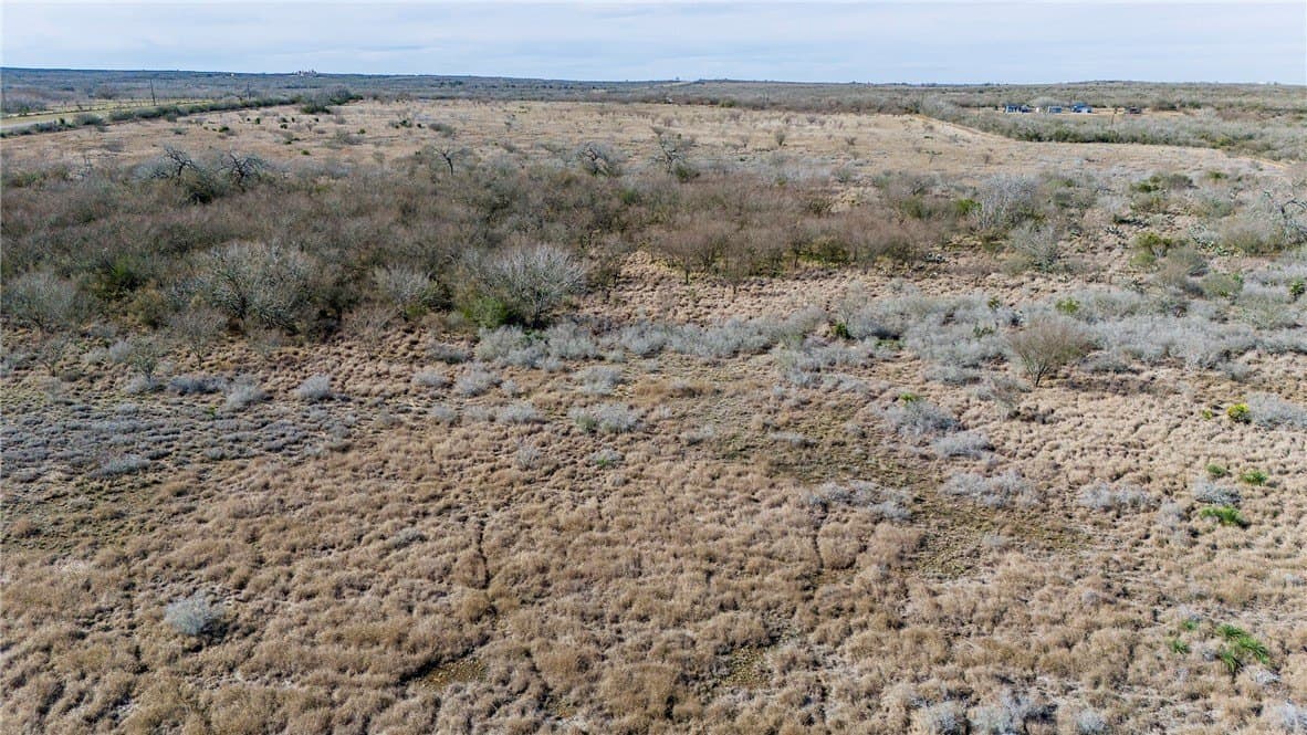 51.6 acres in Live Oak County - photo 13