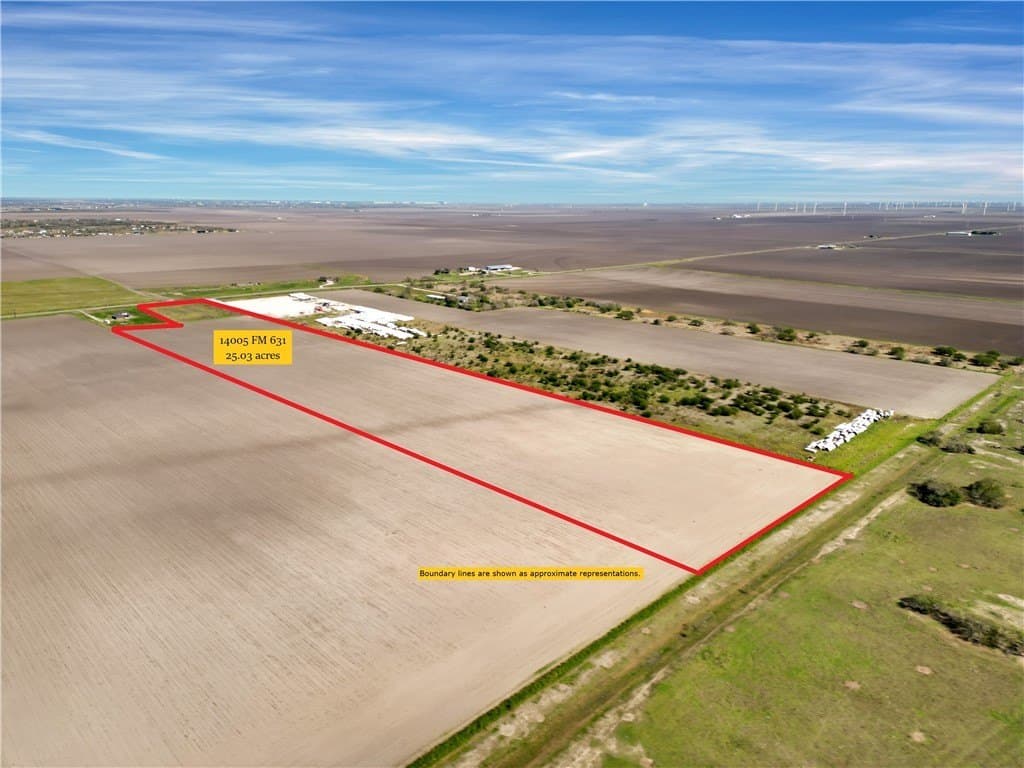 25.02 acres in San Patricio County gallery image 3
