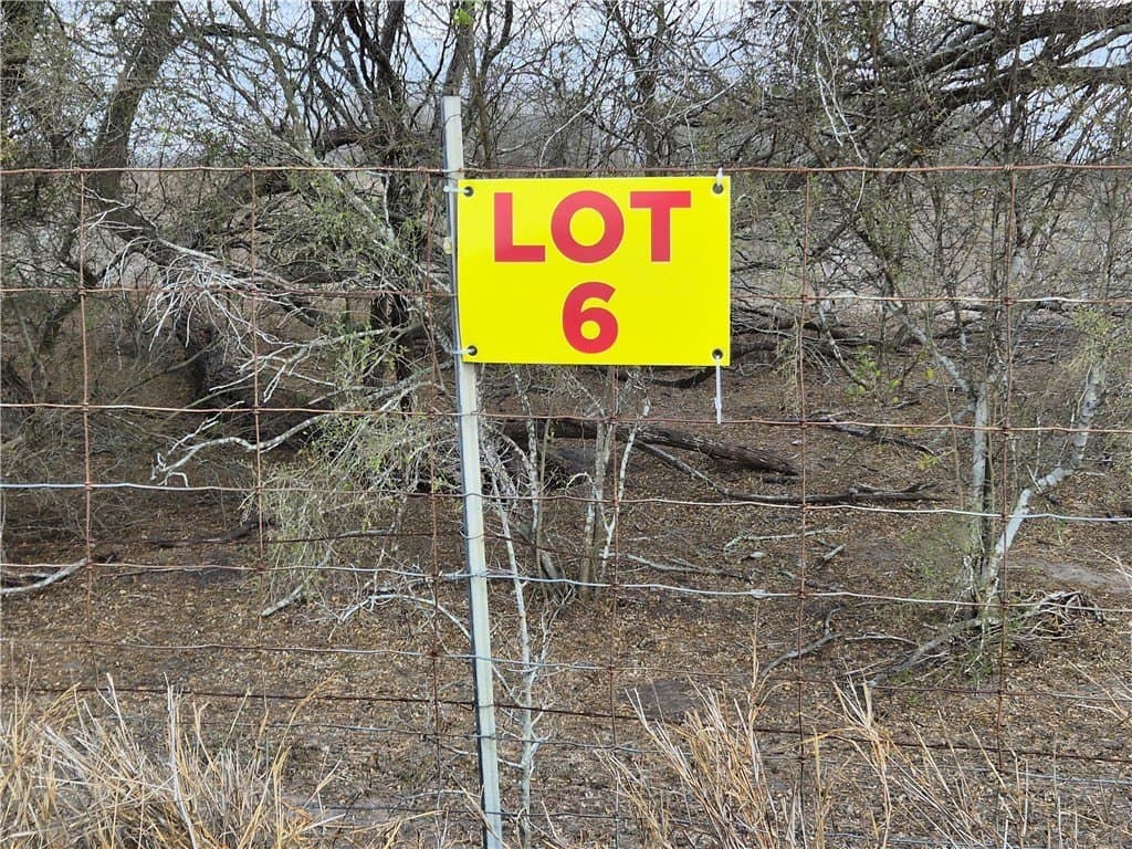 2.5 acres in Kleberg County gallery image 2