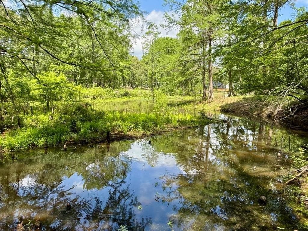 1.3 acres in Texas County