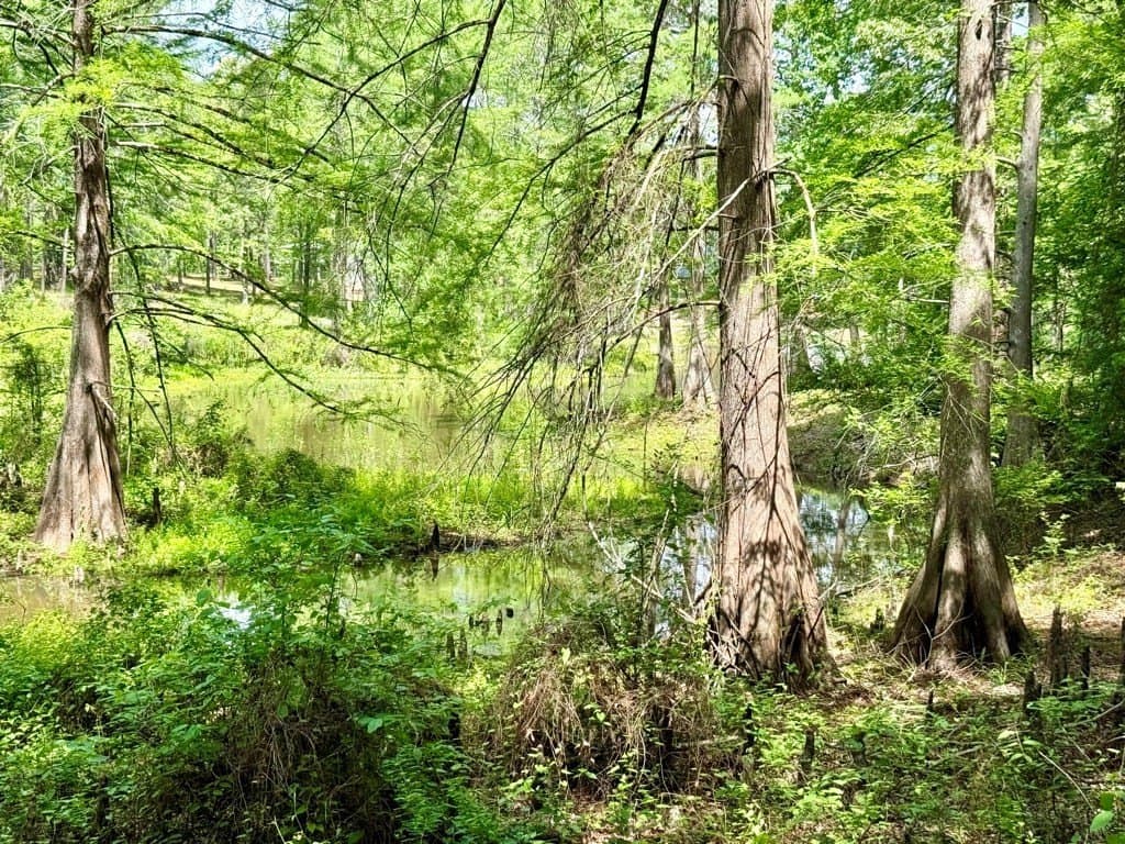 1.3 acres in Texas County featured view
