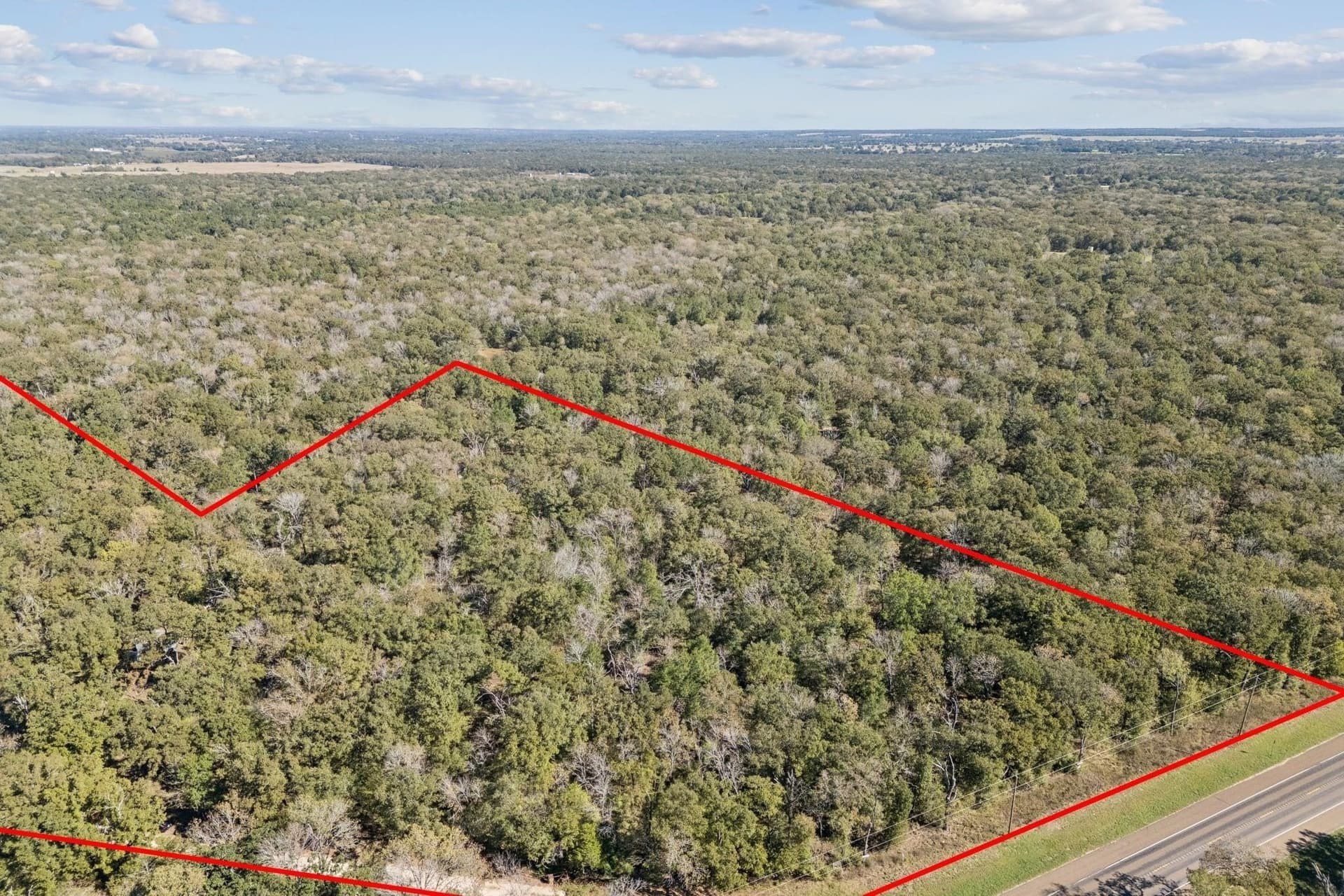 20 acres in Anderson County gallery image 4