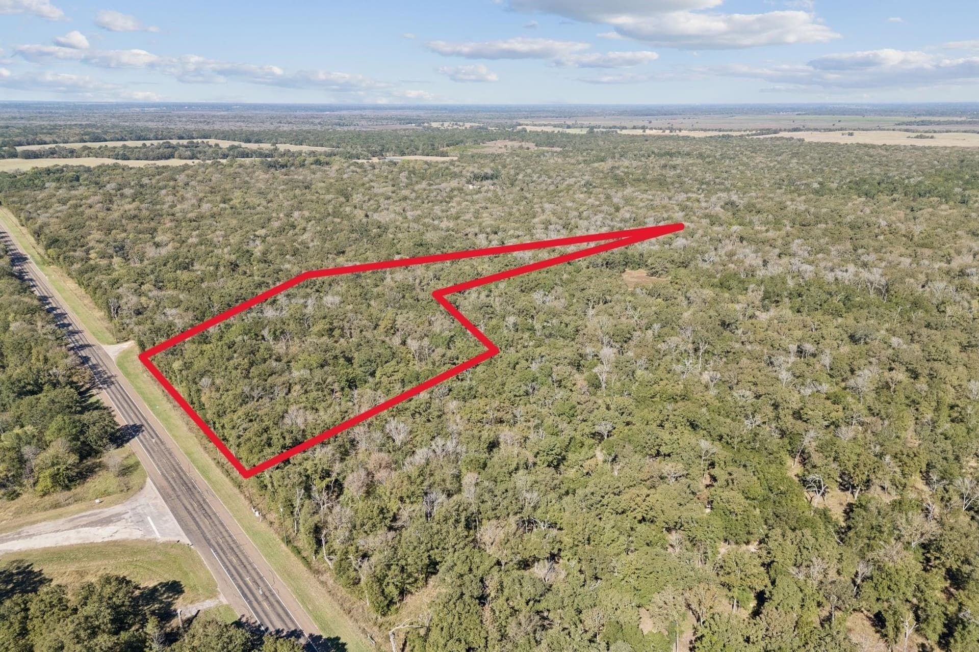 20 acres in Anderson County gallery image 3