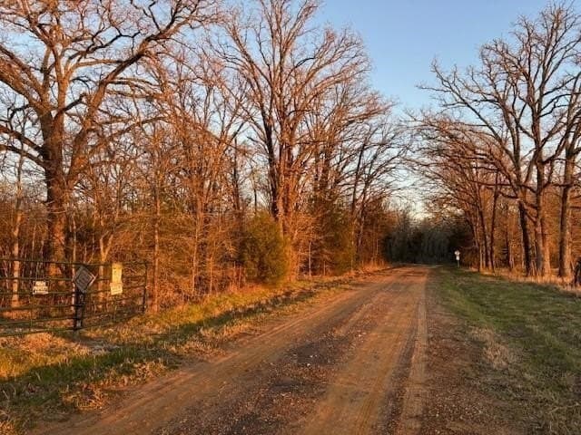 20 acres in Anderson County - photo 6