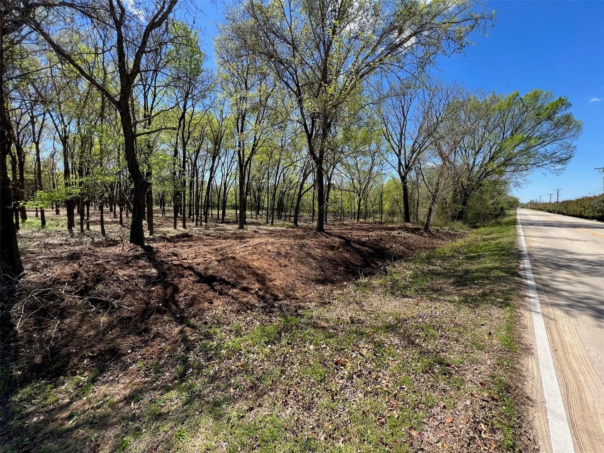 11.12 acres in Denton County gallery image 3