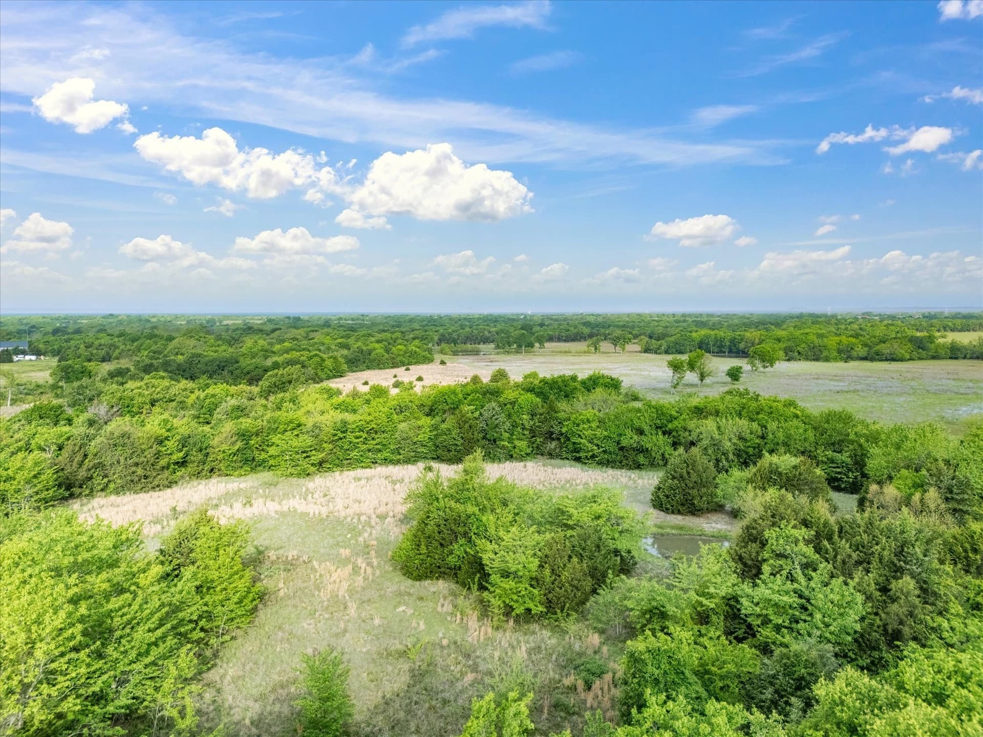 34.17 acres in Hunt County gallery image 3