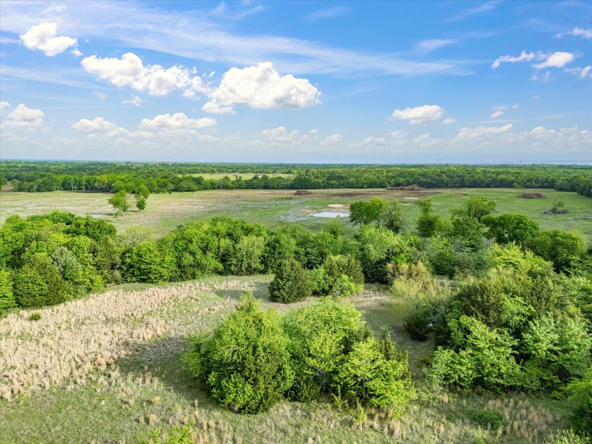 34.17 acres in Hunt County gallery image 4