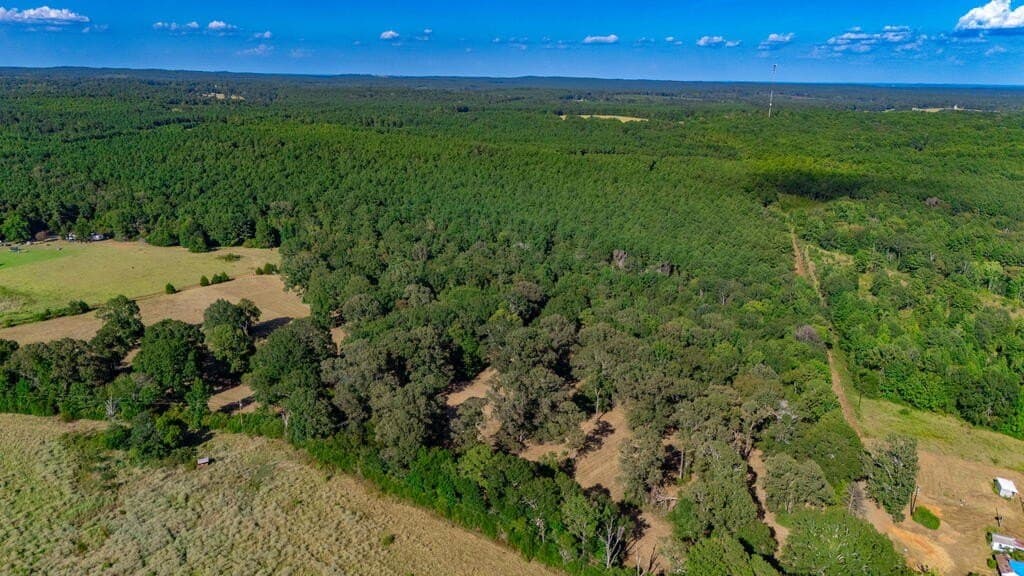 42.22 acres in Texas County - photo 12