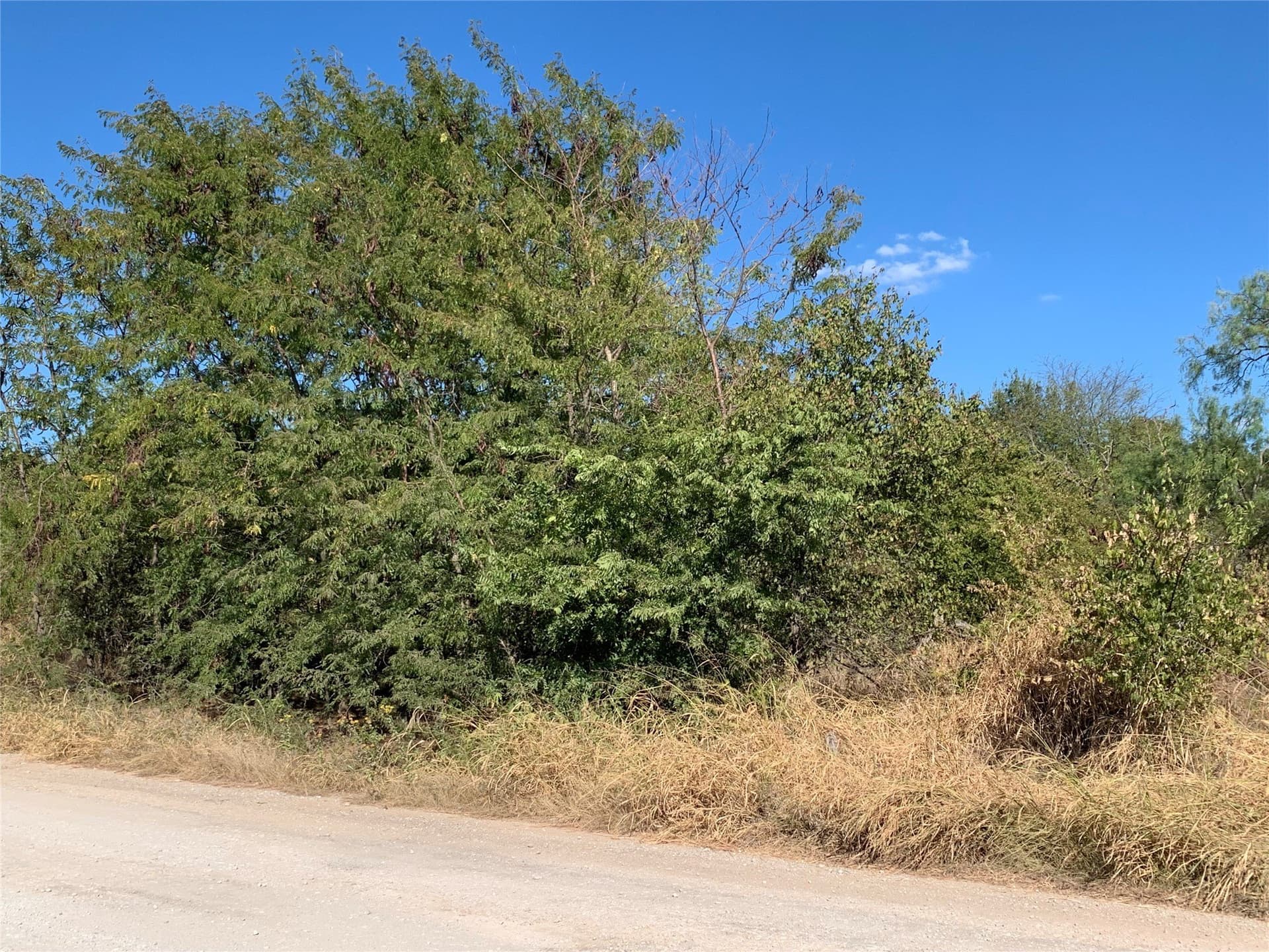 0.22 acres in Wise County
