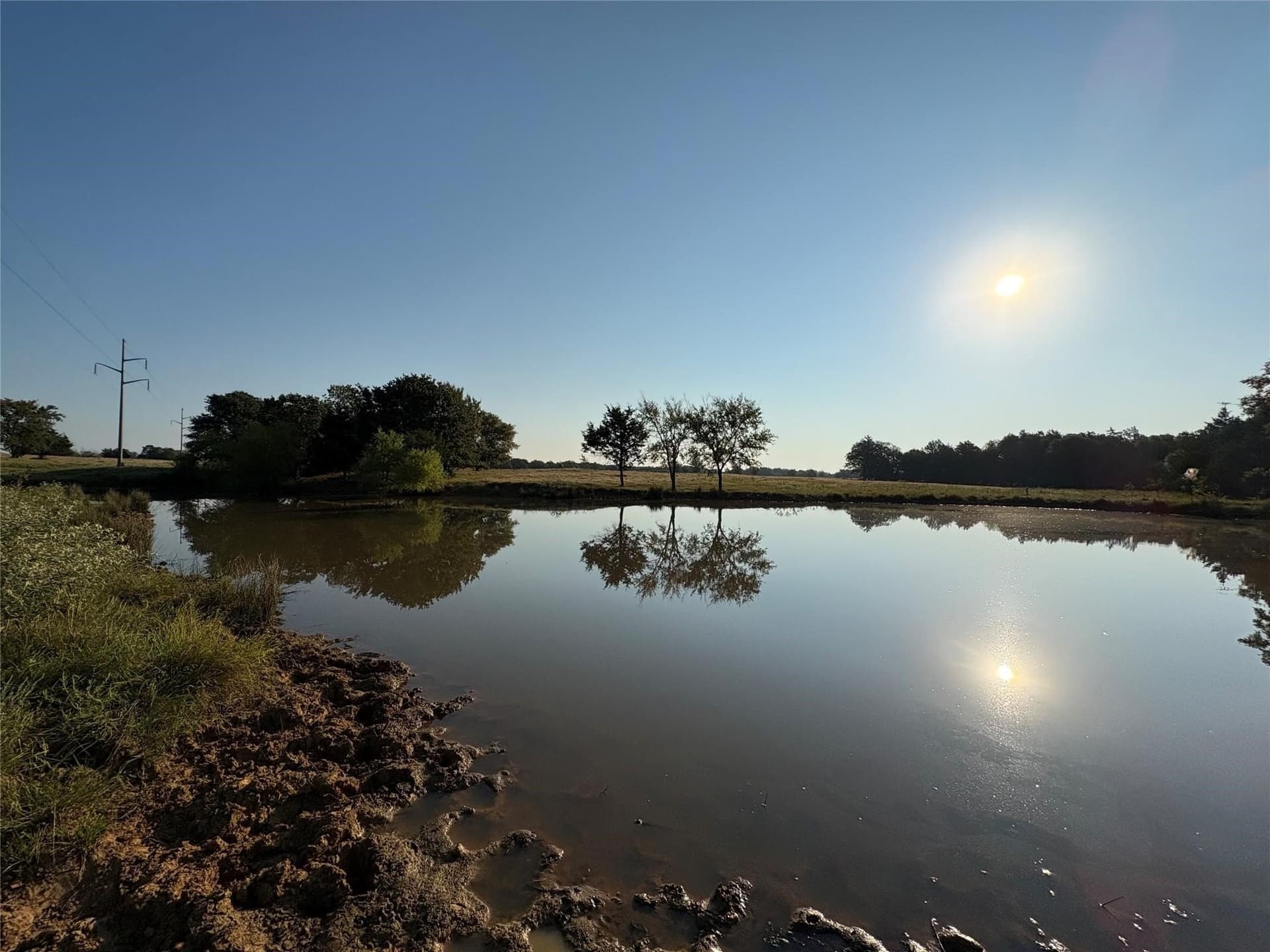 50.75 acres in Grayson County gallery image 2