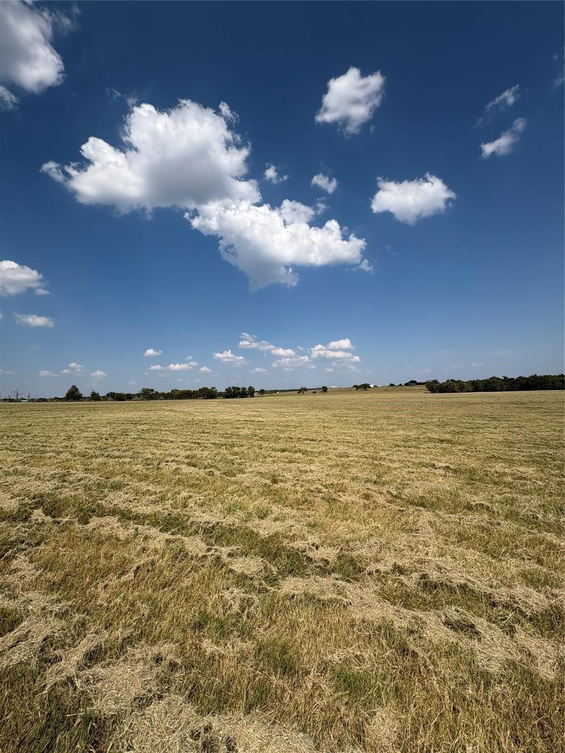 50.75 acres in Grayson County gallery image 4