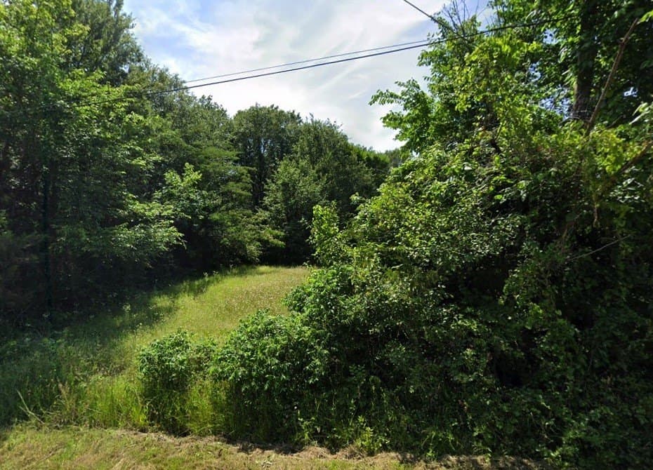 0.17 acres in Lamar County gallery image 3