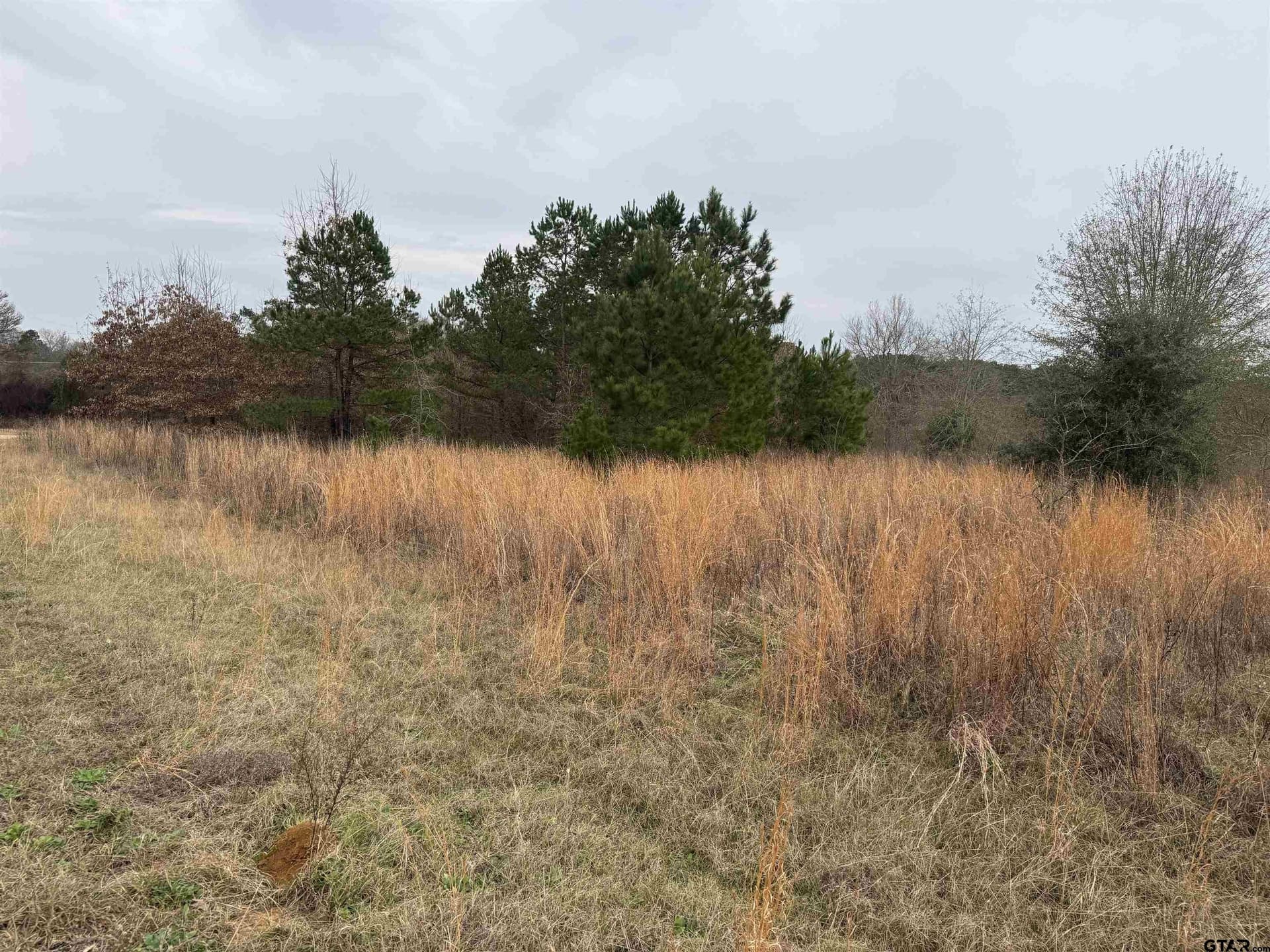 0.92 acres in Cherokee County featured view
