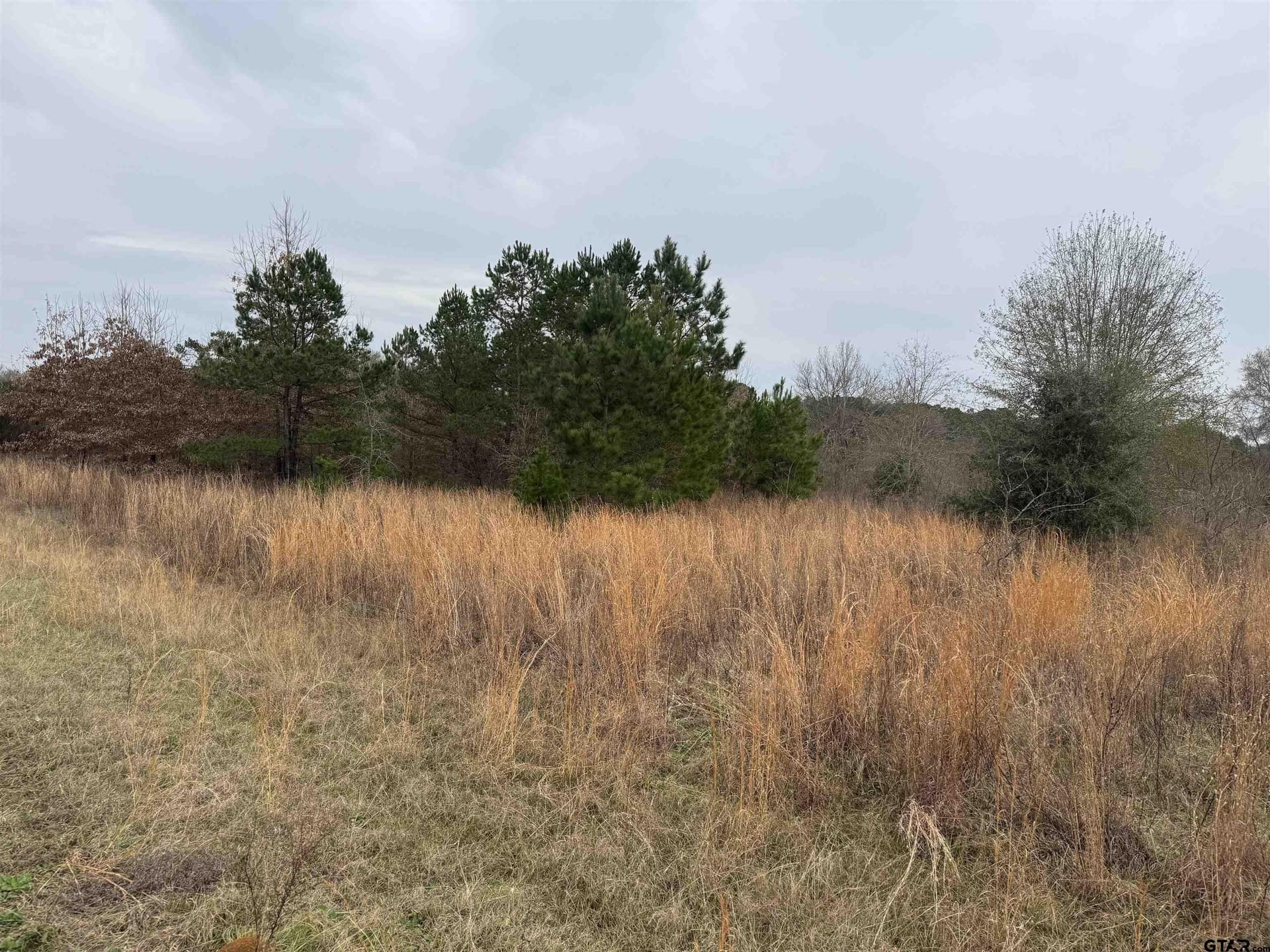 0.92 acres in Cherokee County gallery image 4