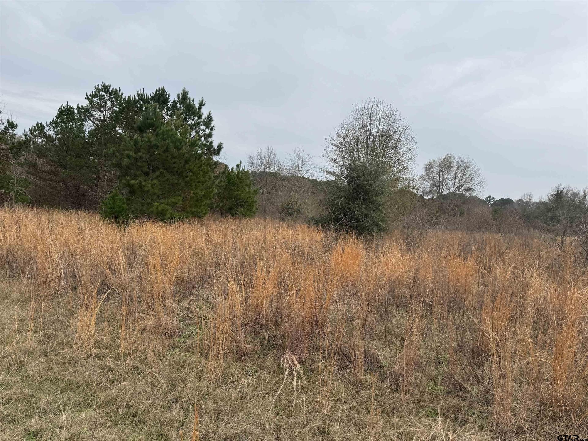 0.92 acres in Cherokee County gallery image 3